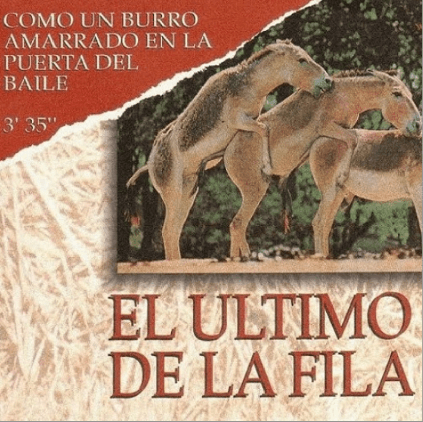 El último de la fila - Como un burro amarrado (simplificada)